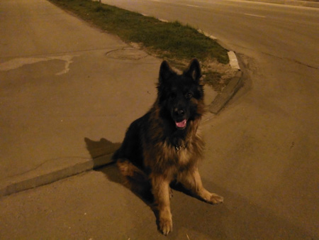 450x338  49 KB. Big one: 3200x2400  821 KB