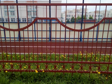 450x338  52 KB. Big one: 4160x3120  2792 KB