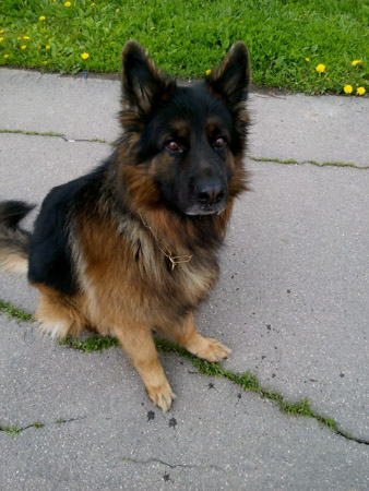 338x450  60 KB. Big one: 3120x4160  2887 KB