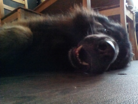 450x338  50 KB. Big one: 2560x1920  643 KB