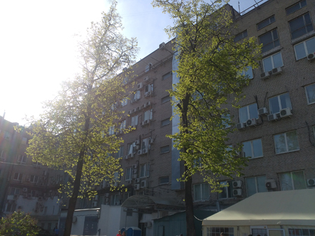 450x338  165 KB. Big one: 3264x2448  3138 KB