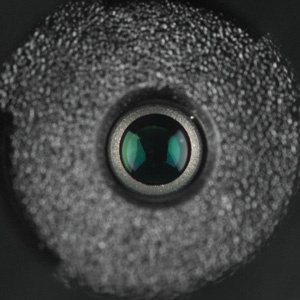 300x300  31 KB. Big one: 865x865  238 KB