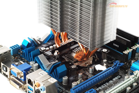 450x300  49 KB. Big one: 1500x1000  417 KB