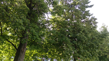 450x253  188 KB. Big one: 5376x3024  5792 KB