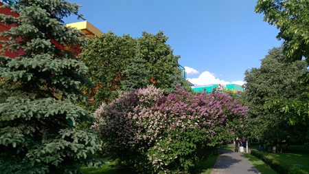 450x253  170 KB. Big one: 5376x3024  5888 KB