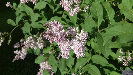 450x253  153 KB. Big one: 5376x3024  3339 KB