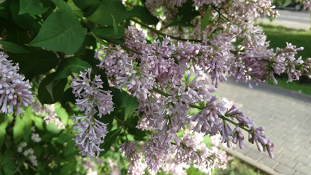 450x253  155 KB. Big one: 5376x3024  3455 KB