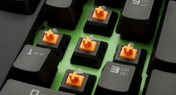 350x189  48 KB. Big one: 1300x701  423 KB