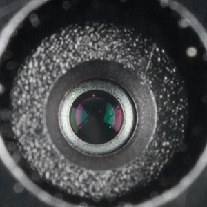 300x300  33 KB. Big one: 776x776  183 KB