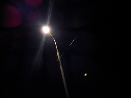 450x338  54 KB. Big one: 4160x3120  921 KB