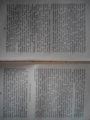 300x399  27 KB. Big one: 2448x3264  1660 KB