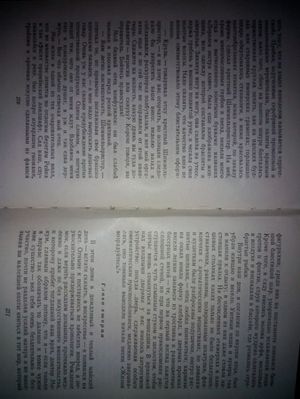 300x399  25 KB. Big one: 2448x3264  1332 KB