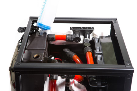 450x300  66 KB. Big one: 1500x1000  253 KB