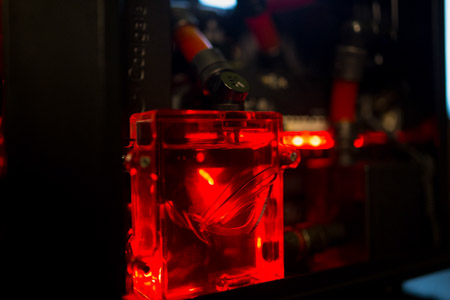 450x300  59 KB. Big one: 1500x1000  192 KB