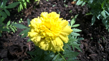 448x252  110 KB. Big one: 3840x2160  2113 KB