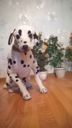 252x448  43 KB. Big one: 720x1280  291 KB