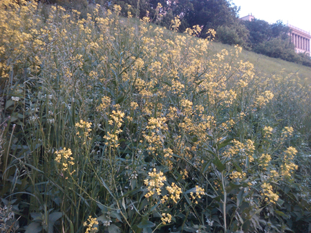 450x338  262 KB. Big one: 4160x3120  3097 KB