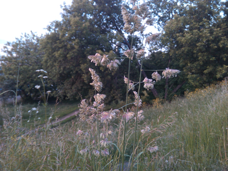 450x338  217 KB. Big one: 4160x3120  2091 KB