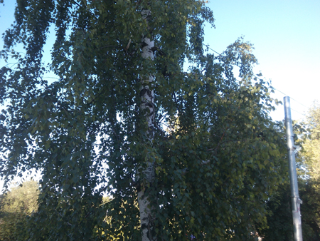 450x338  234 KB. Big one: 4160x3120  2450 KB