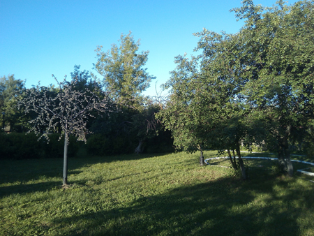 450x338  210 KB. Big one: 4160x3120  3130 KB