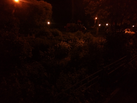 450x338  94 KB. Big one: 4160x3120  710 KB