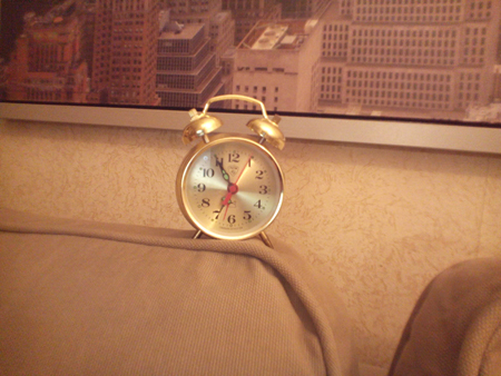 450x338  171 KB. Big one: 3264x2448  1178 KB