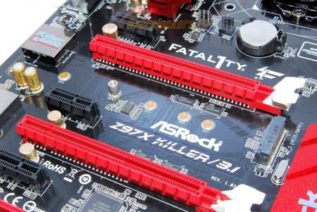 450x301  54 KB. Big one: 1500x1004  345 KB