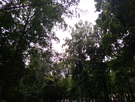 450x338  189 KB. Big one: 4160x3120  4156 KB