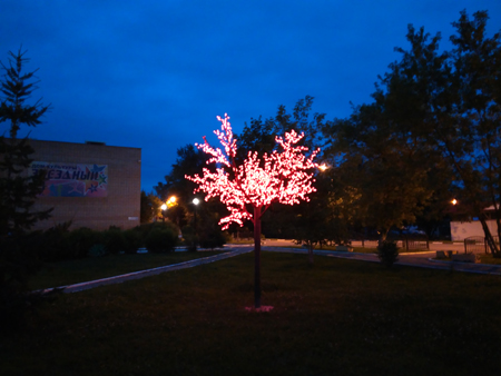 450x338  135 KB. Big one: 4160x3120  2313 KB