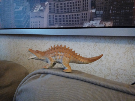 450x338  137 KB. Big one: 2592x1944  1748 KB