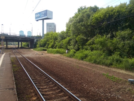 448x336  81 KB. Big one: 3264x2448  3662 KB