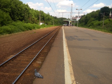 448x336  69 KB. Big one: 3264x2448  3084 KB