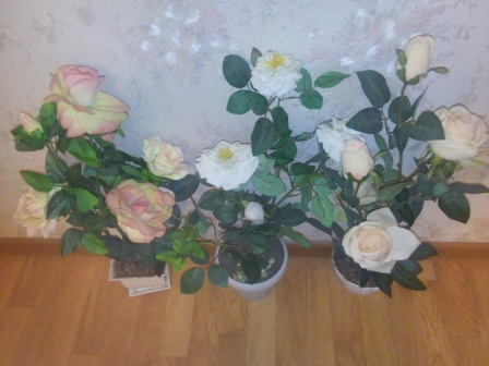 448x336  61 KB. Big one: 3264x2448  2766 KB