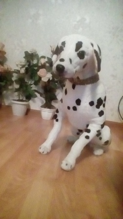 252x448  44 KB. Big one: 720x1280  394 KB