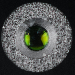 300x300  38 KB. Big one: 559x559  116 KB