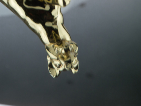 450x338  46 KB. Big one: 1500x1125  285 KB