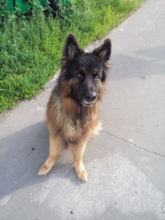 338x450  57 KB. Big one: 2448x3264  1759 KB