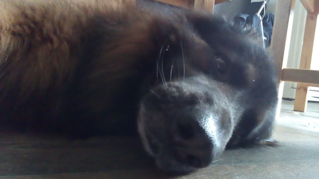 450x253  54 KB. Big one: 2560x1440  573 KB