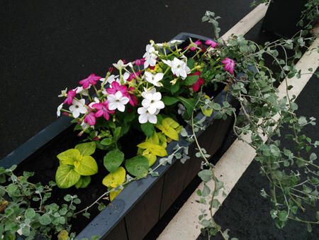 450x338  194 KB. Big one: 4160x3120  5223 KB