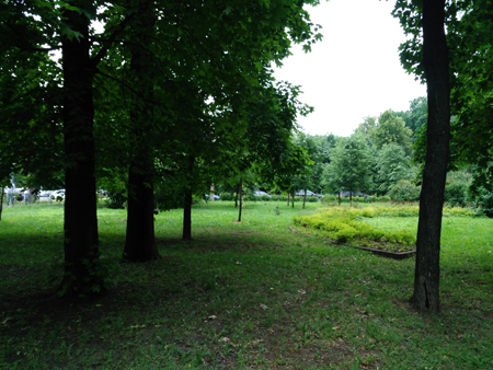 450x338  201 KB. Big one: 4160x3120  5655 KB