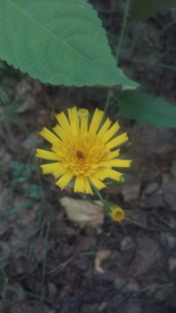 252x448  22 KB. Big one: 2160x3840  709 KB