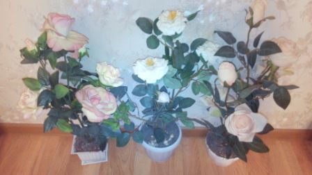 448x252  29 KB. Big one: 3840x2160  1421 KB