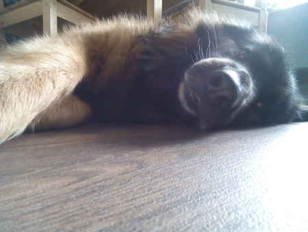 450x338  55 KB. Big one: 3264x2448  1201 KB