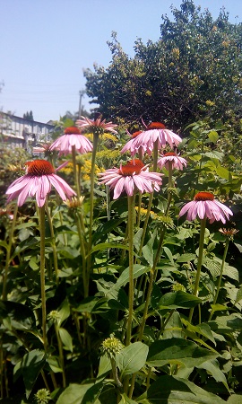 270x450  136 KB. Big one: 2160x3600  1957 KB