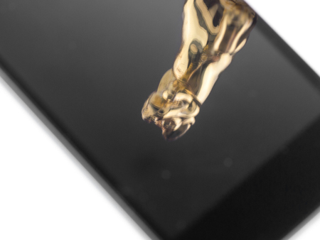 450x338  55 KB. Big one: 1500x1125  399 KB