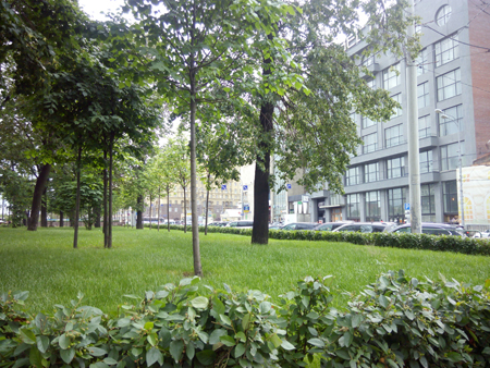 450x338  255 KB. Big one: 4096x3072  2784 KB