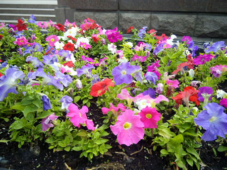 450x338  281 KB. Big one: 4096x3072  2413 KB