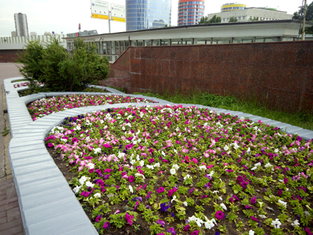 450x338  261 KB. Big one: 4096x3072  2640 KB