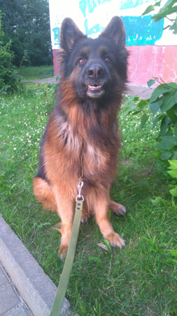 253x450  56 KB. Big one: 2204x3920  2134 KB