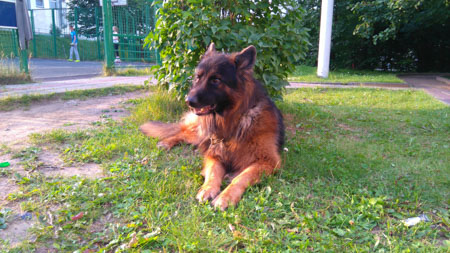 450x253  57 KB. Big one: 3920x2204  2653 KB